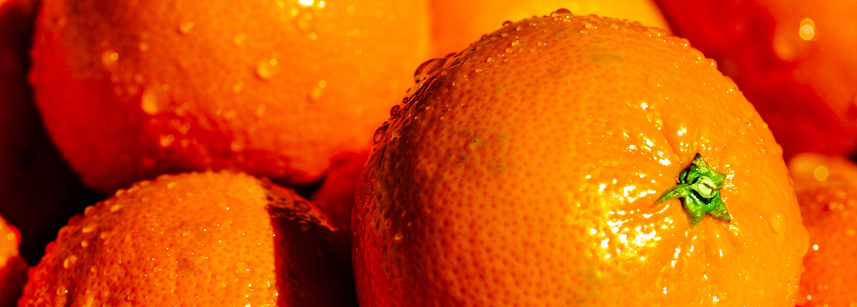 便宜的购买网站求推荐的ddos压力测试平台